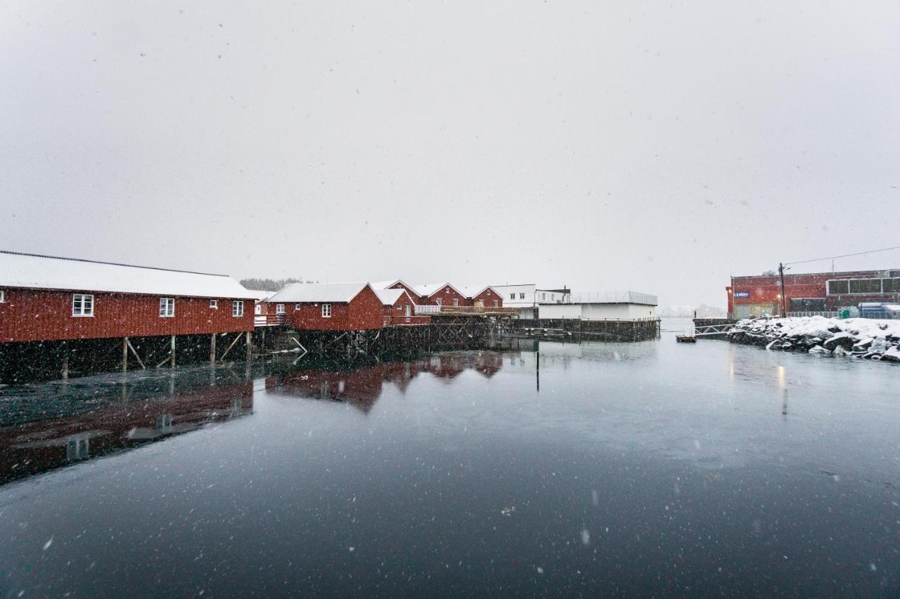 Lofoten Cabin&Kayak Rental Stamsund Bagian luar foto