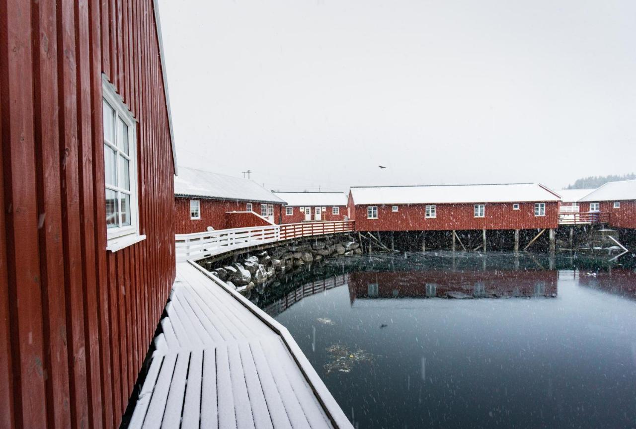 Lofoten Cabin&Kayak Rental Stamsund Bagian luar foto