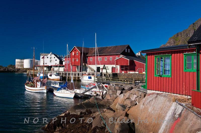 Lofoten Cabin&Kayak Rental Stamsund Bagian luar foto