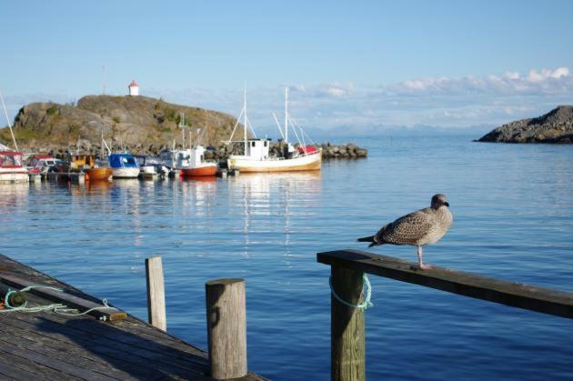 Lofoten Cabin&Kayak Rental Stamsund Bagian luar foto